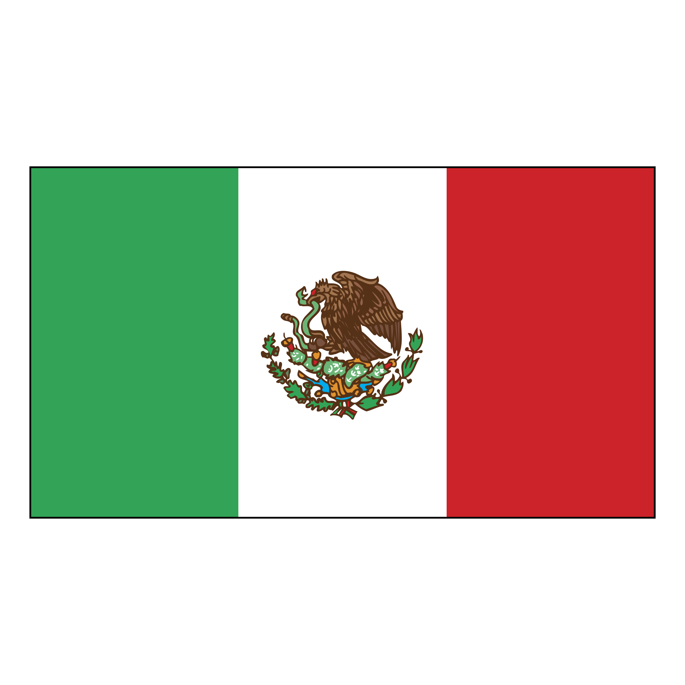 Flag Image