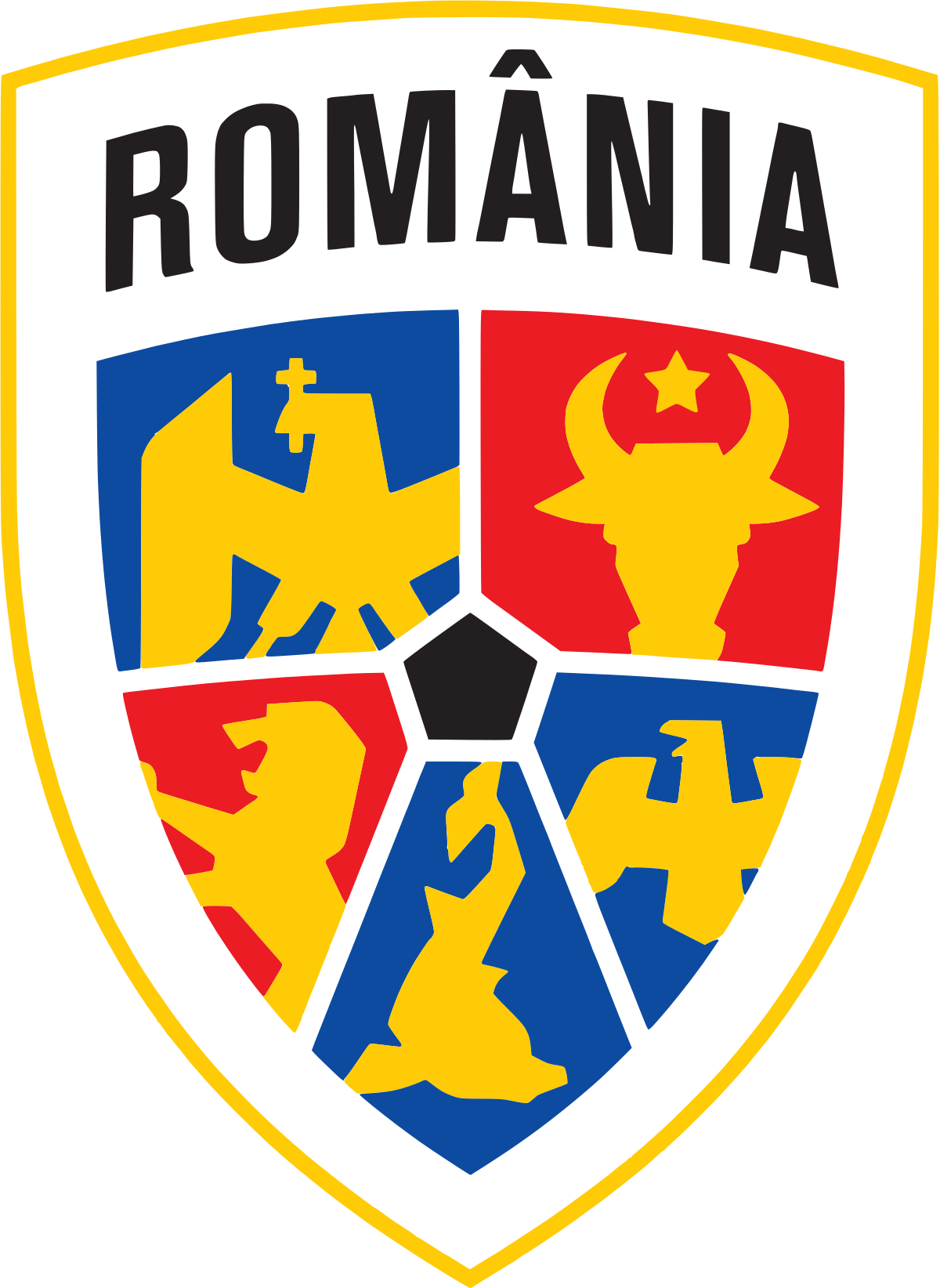Flag Image